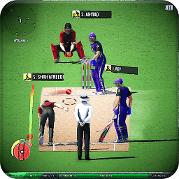 巴基斯坦板球联赛游戏(pakistan cricket league)