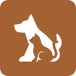 这是什么狗手机版